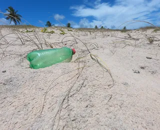 Acúmulo de microplásticos gera cenário alarmante no litoral brasileiro