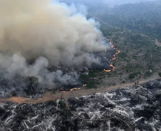 Amazônia tem área equivalente ao território colombiano desmatado