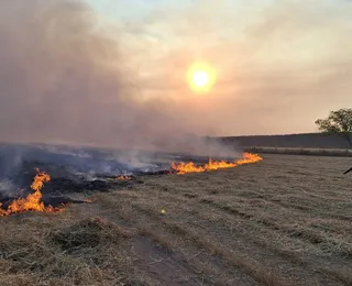 Após 13 dias, incêndio é controlado em Muquém do São Francisco