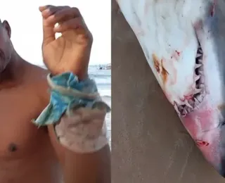 Ataque de tubarão contra pescador na Bahia é descartado; entenda