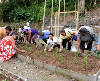 Bairro de Coutos ganha segunda Horta Comercial de Salvador