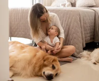 Bom convívio entre animais e bebês exige preparo prévio