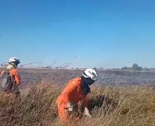 Bombeiros atuam no combate a incêndio florestal no oeste do estado