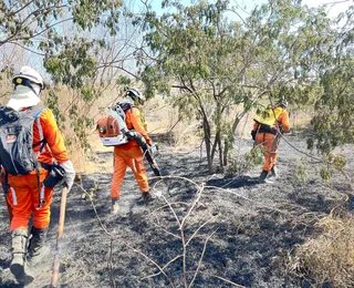 Bombeiros extinguem incêndios florestais em três cidades na Bahia