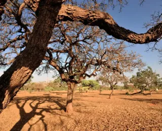 Brasil será afetado por mudança brusca de temperatura na Antártida