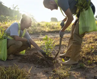 Câmara aprova proposta que amplia crédito para agricultura familiar