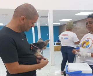 Campanha de vacina antirrábica é realizada gratuitamente em Salvador