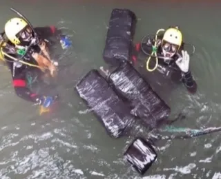 Carga de cocaína é apreendida em navio mercante no porto de Santos