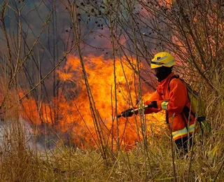 "Cenário é triste e desanimador", diz senadora sobre incêndios no Cerrado