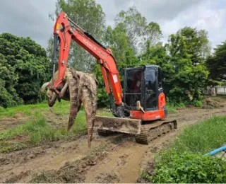 Criador abate 125 crocodilos para evitar que animais fugissem