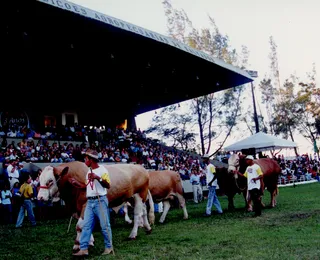 Eventos como a Fenagro são vitrines da produção rural