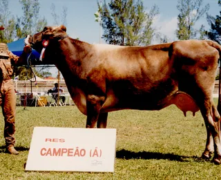 Exemplares de destaque nos rebanhos baianos desfilam na Fenagro