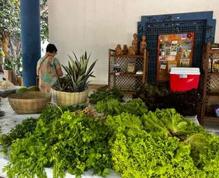 Feira na Horta celebra 10 anos com mercado ecológico e multicultural em Itapuã