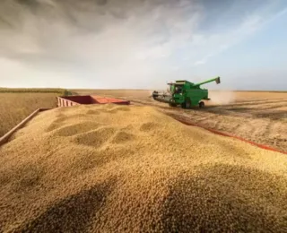 Fórum internacional debate o papel do agro na segurança alimentar