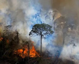 Fumaça de queimadas na Amazônia chega a 10 estados