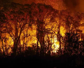 Gás sem cheiro e letal se espalha em meio às queimadas no Brasil