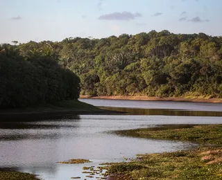 Governo contrata empresa responsável pela requalificação do Parque Pituaçu