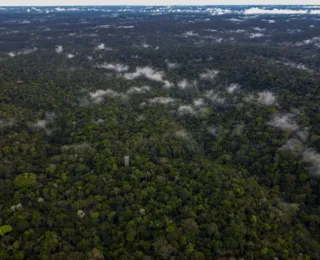 Governo dos EUA doa mais de R$ 270 milhões para o Fundo Amazônia