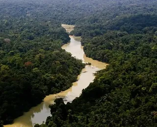 Governo entra com primeira ação por danos climáticos contra a Amazônia