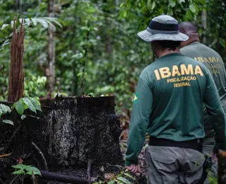 IBAMA e ICMBio vão oferecer 810 vagas em novos concursos