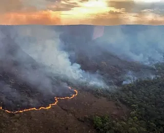 Incêndio queima 10 mil hectares do Parque da Chapada dos Veadeiros