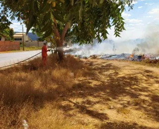 Incêndios florestais atingem interior da Bahia; saiba detalhes