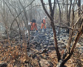 Incêndios florestais: bombeiros encaram missão humanitária na Bahia