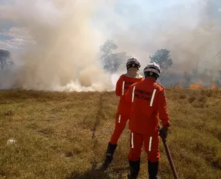 Incêndios florestais crescem 8% na Bahia