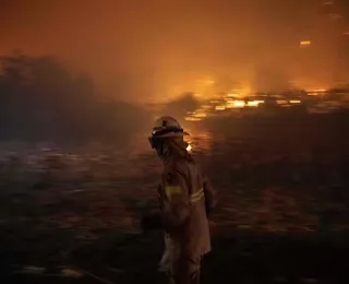 Incêndios florestais avançam e deixam sete mortos