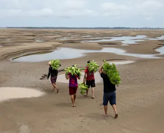 Incêndios podem acelerar savanização da Amazônia, alerta Carlos Nobre