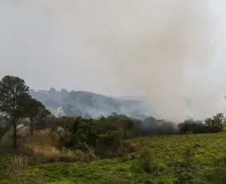 Mais de 80% dos focos de calor em SP estão em áreas de agropecuária