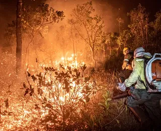 Monitoramento mostra que 99% dos incêndios são por ação humana