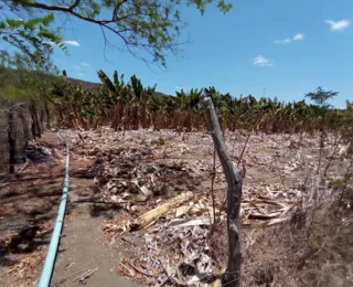 No RGS tem água demais e de menos. Já na Bahia, só de menos