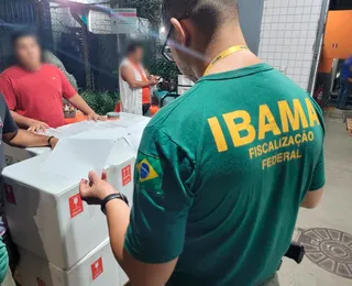 Operação no Aeroporto de Salvador combate tráfico de fauna e flora