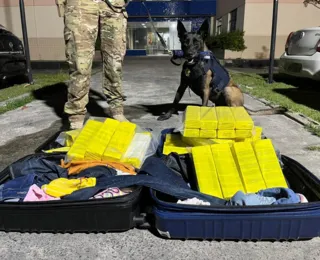 Cerca de 50 kg de maconha são apreendidos em ônibus de turismo na Bahia