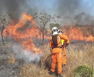 Quase 60 municípios foram atingidos por incêndios na Bahia em 2024