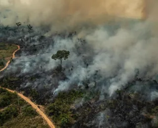 Queimadas: qualidade do ar é considerada insalubre em oito estados