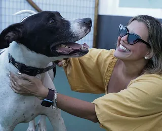 Tutores de animais podem ter direito a pensão