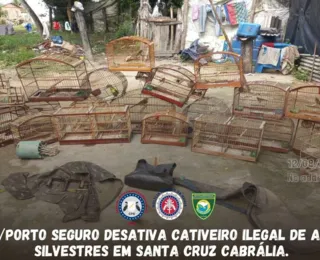 Vídeo: Cipa desarticula cativeiro ilegal de animais silvestres