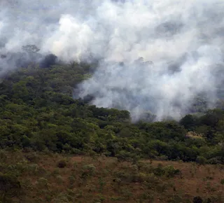 A Terra está com febre - Imagem