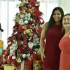 Baianos mantêm tradição de decorar casa para o Natal - Imagem