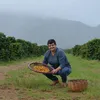 Café da Chapada conquista registro de Indicação Geográfica - Imagem