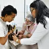 Câncer de mama em animais tem tratamento e prevenção - Imagem