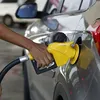 Quais os impactos da reforma tributária no setor de combustíveis? - Imagem