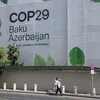 Da COP 29 à COP 30, ano importante para o Brasil - Imagem