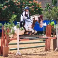 Baiana Beatriz Garcez é campeã do Circuito Norte/Nordeste de hipismo imagem