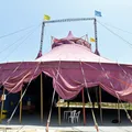 Circo Picolino tem futuro definido em nova orla de Salvador imagem
