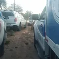 Ossada humana é encontrada em área de mata na Bahia imagem