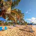 Festival de cultura e gastronomia chega a Praia do Forte em dezembro imagem