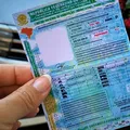Multas de trânsito vão custear habilitação de pessoas de baixa renda imagem
